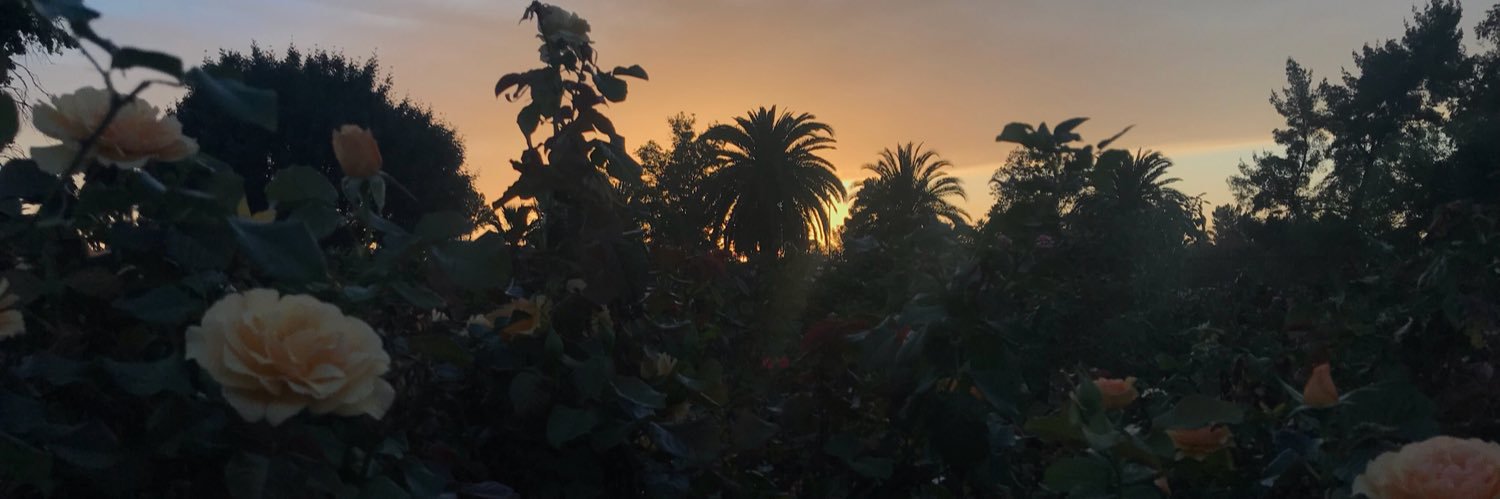 DeniseEstrada_'s profile banner image