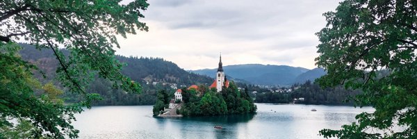 DaomingWang1 Profile Banner