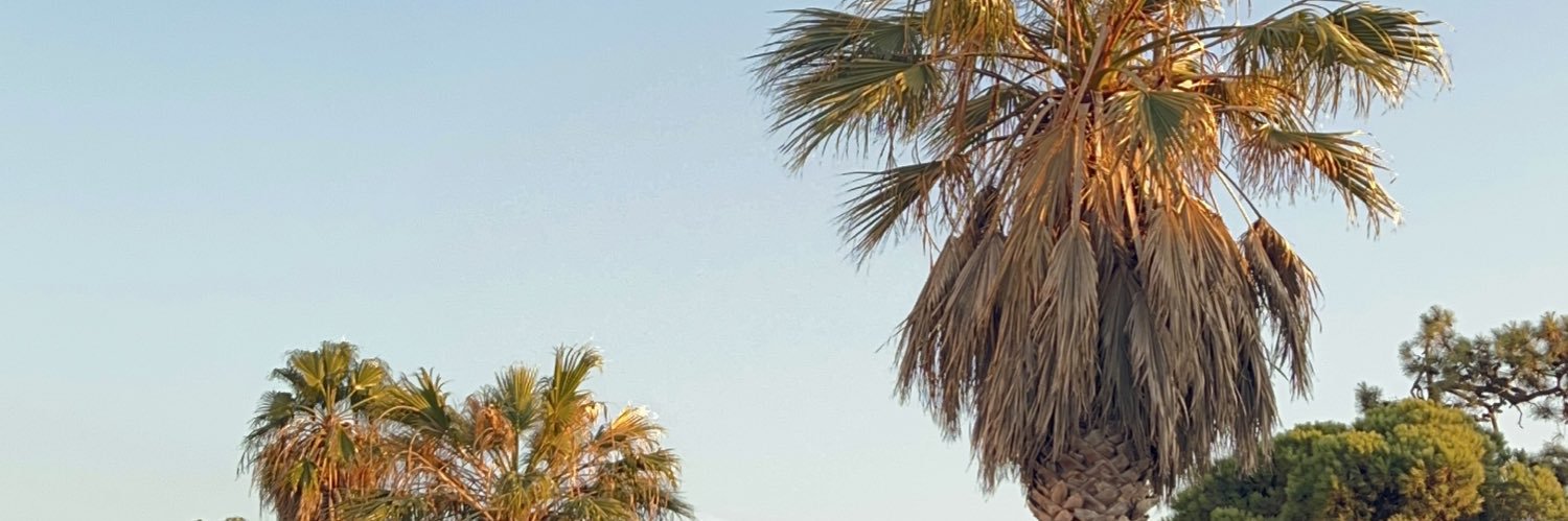 SoleneLflr's profile banner image