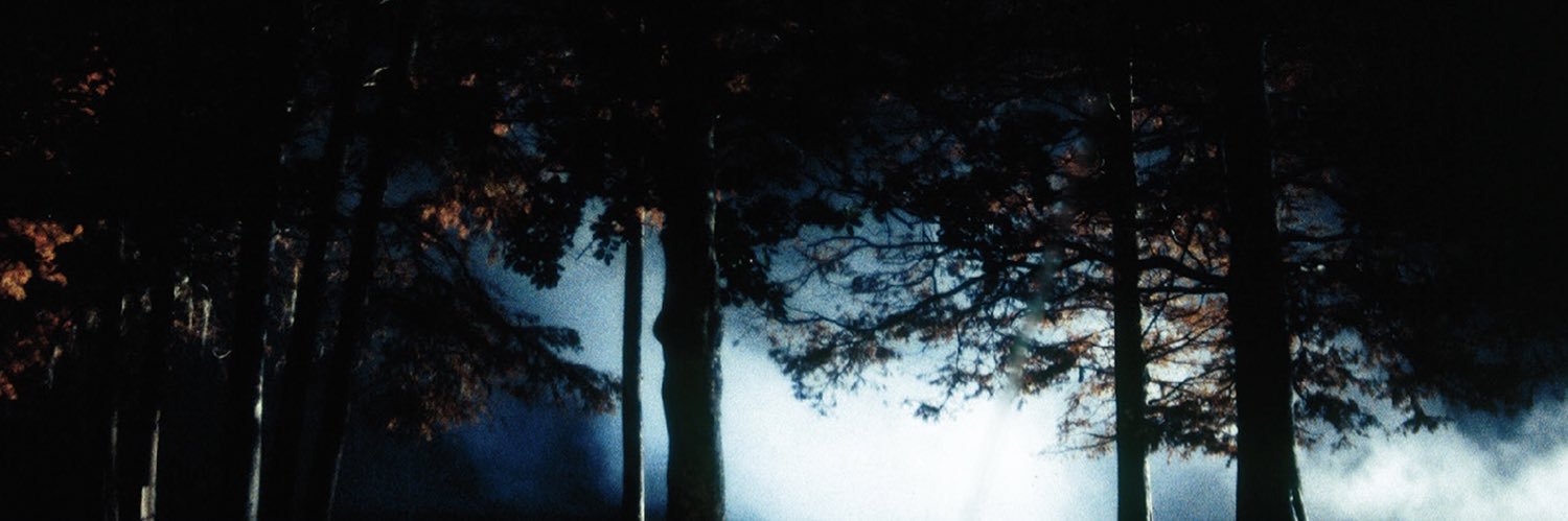 FijiMermaid's profile banner image
