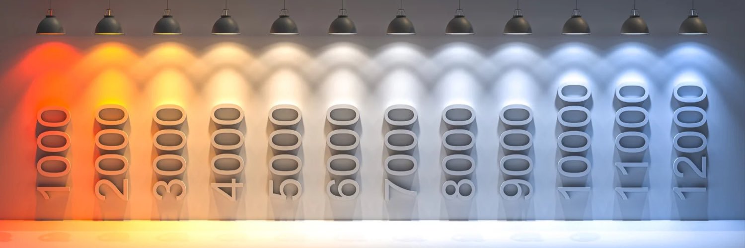 conquad 🔥 • ᴗ • banner