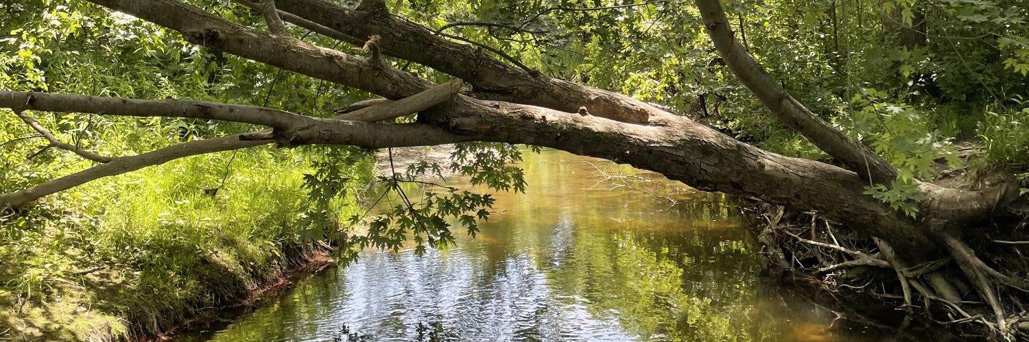 _Loganwoods's profile banner image