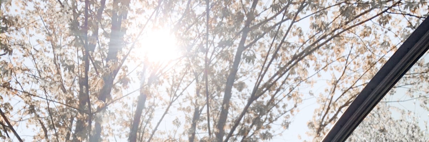 HaleyMD_'s profile banner image