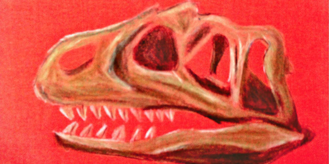 AlexRafton's profile banner image