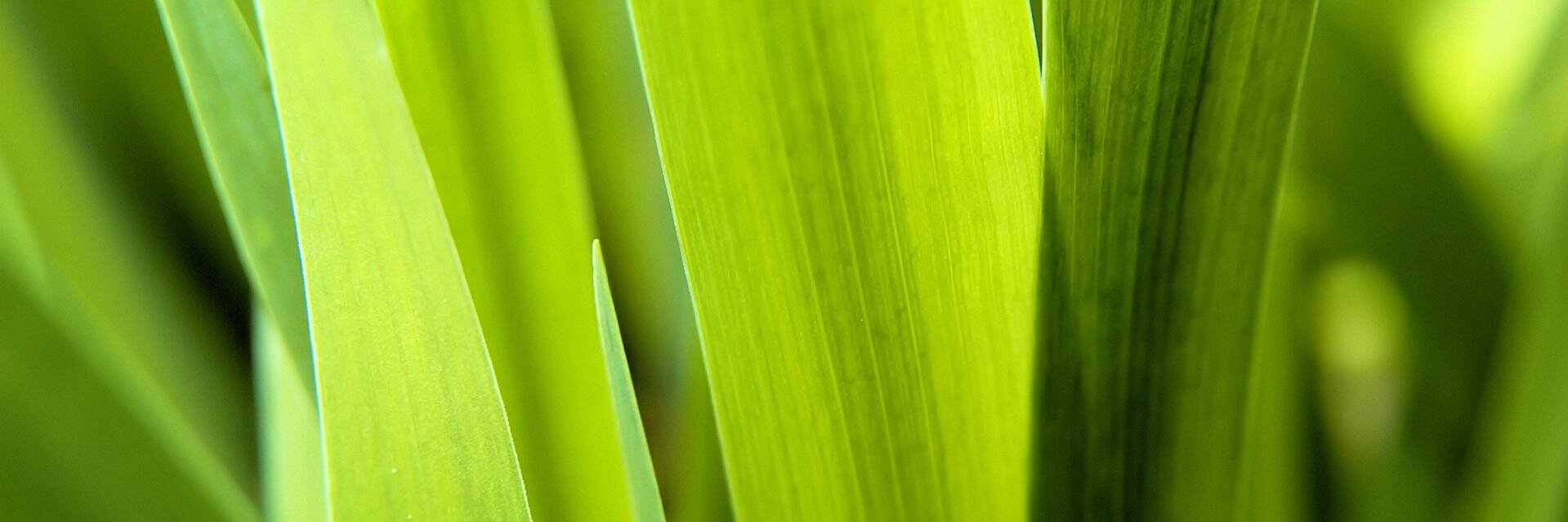 ☾𓃹𝒽𝒾𝒹ℯ𝒶𝓌𓃹 banner