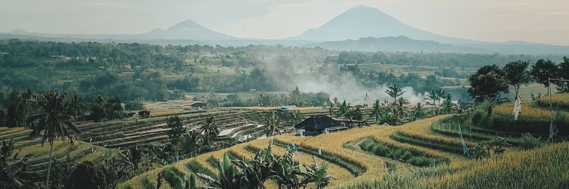 sellytza's profile banner image