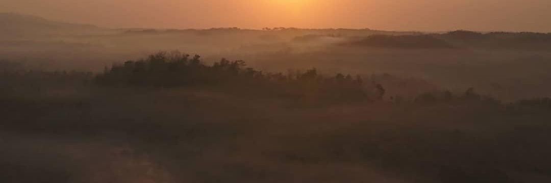 Yulia Rosalina P. Rompis banner