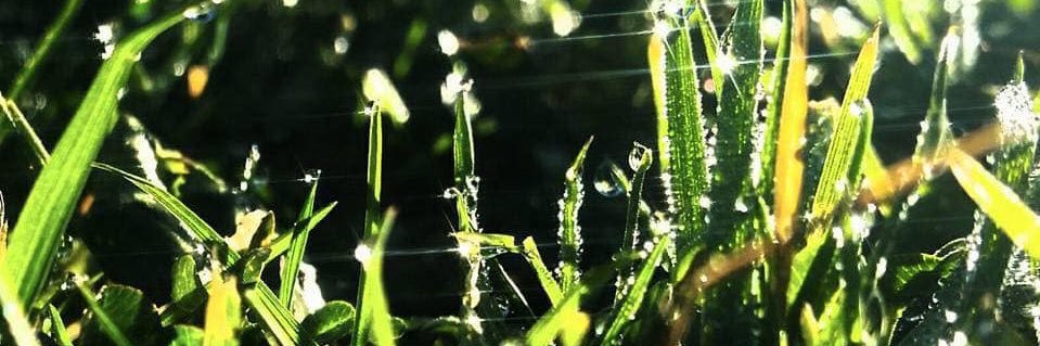 Mendoco's profile banner image