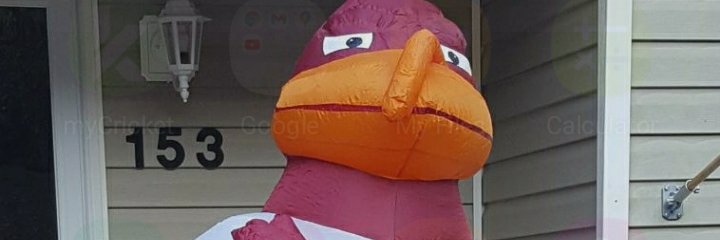 Oh Cammy 💌 banner