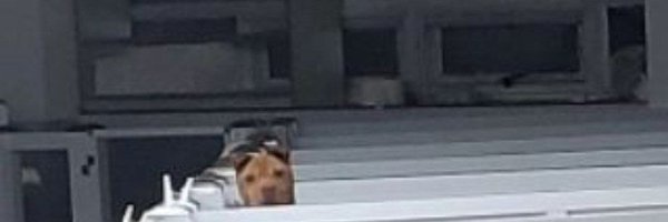 kdisla Profile Banner