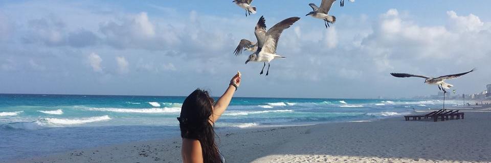ValeMarqueda's profile banner image