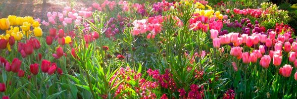 QueenSashaz Profile Banner