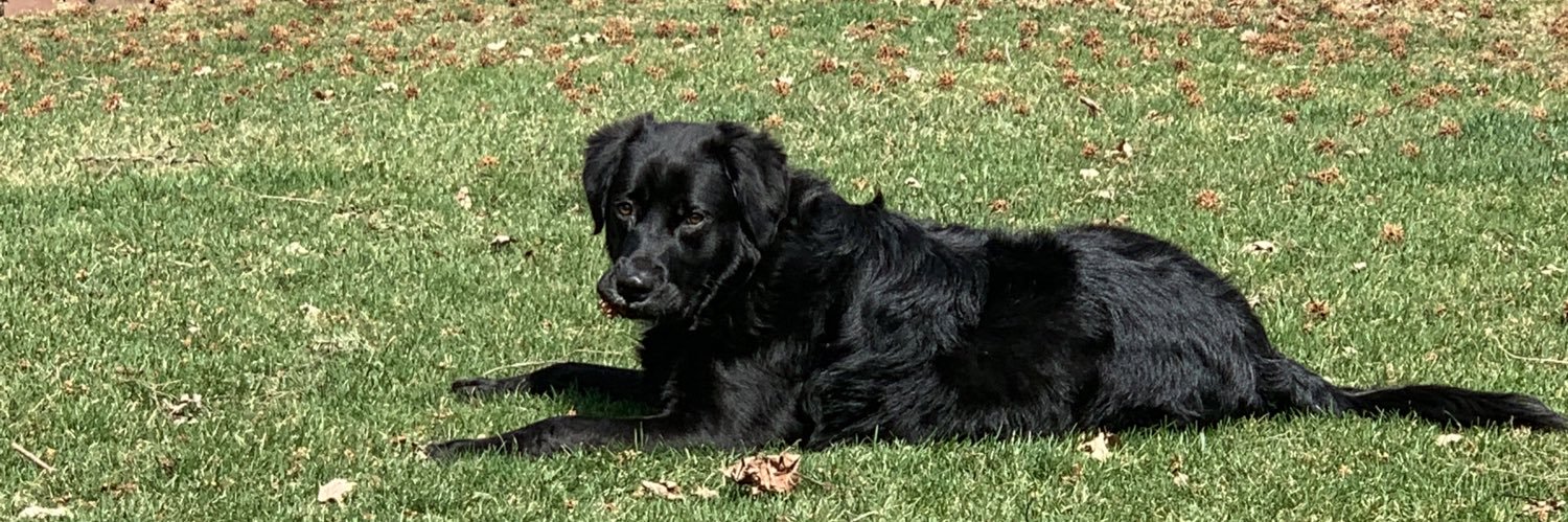 Just Georgee 2020 banner