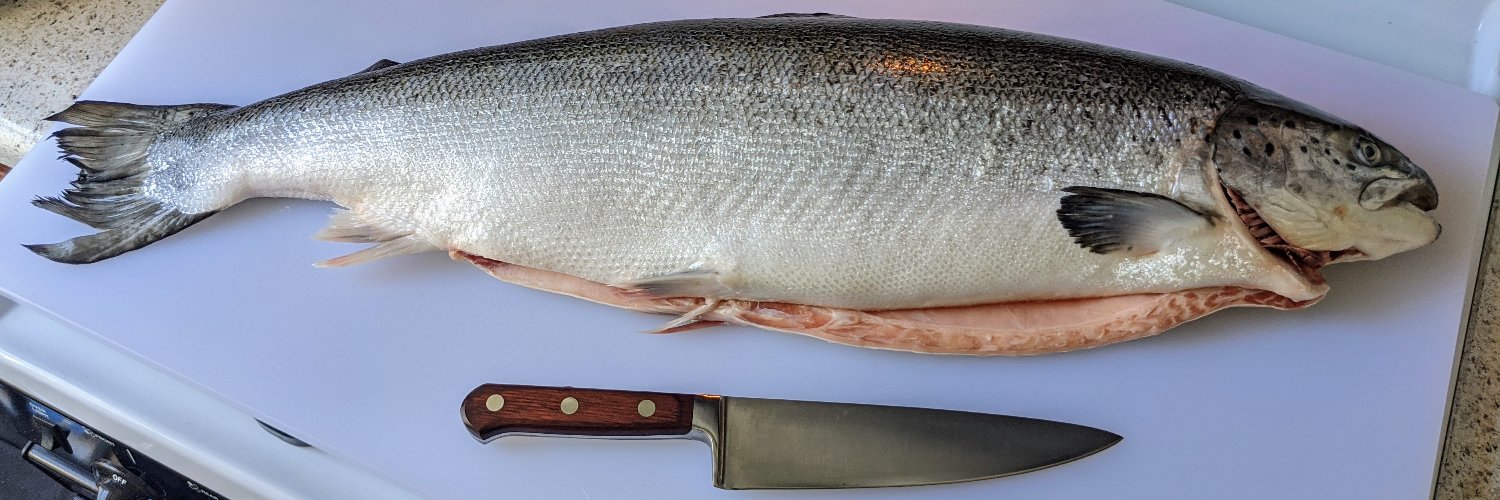 Robert Linthicum banner