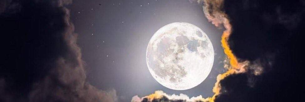 AlondraChang_'s profile banner image