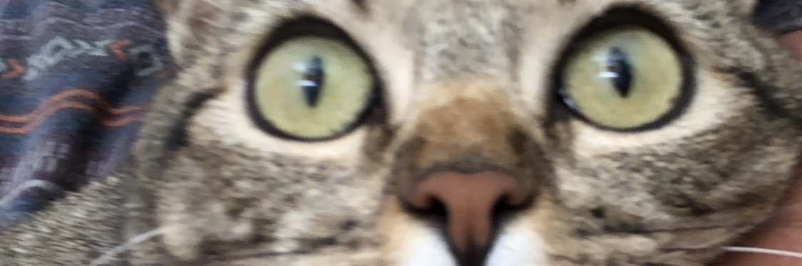 AlbertoMandu's profile banner image