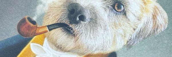 a_nelson22 Profile Banner