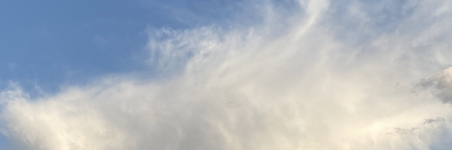 Yanq banner