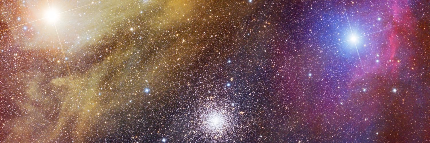 Cryptoquarius banner