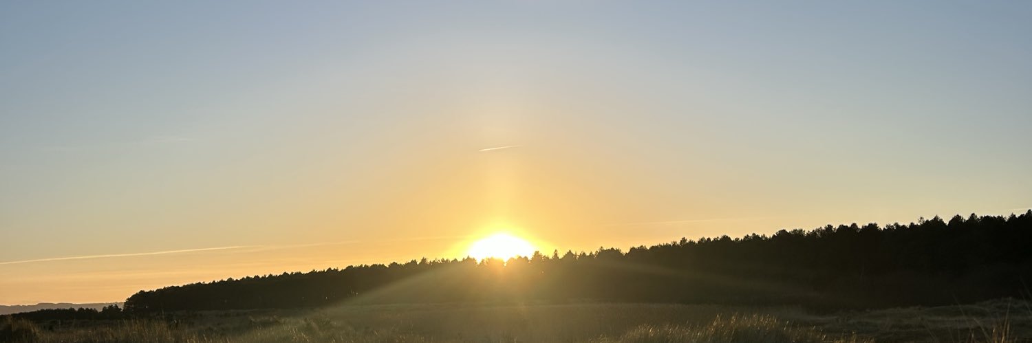 charmarshalsey's profile banner image