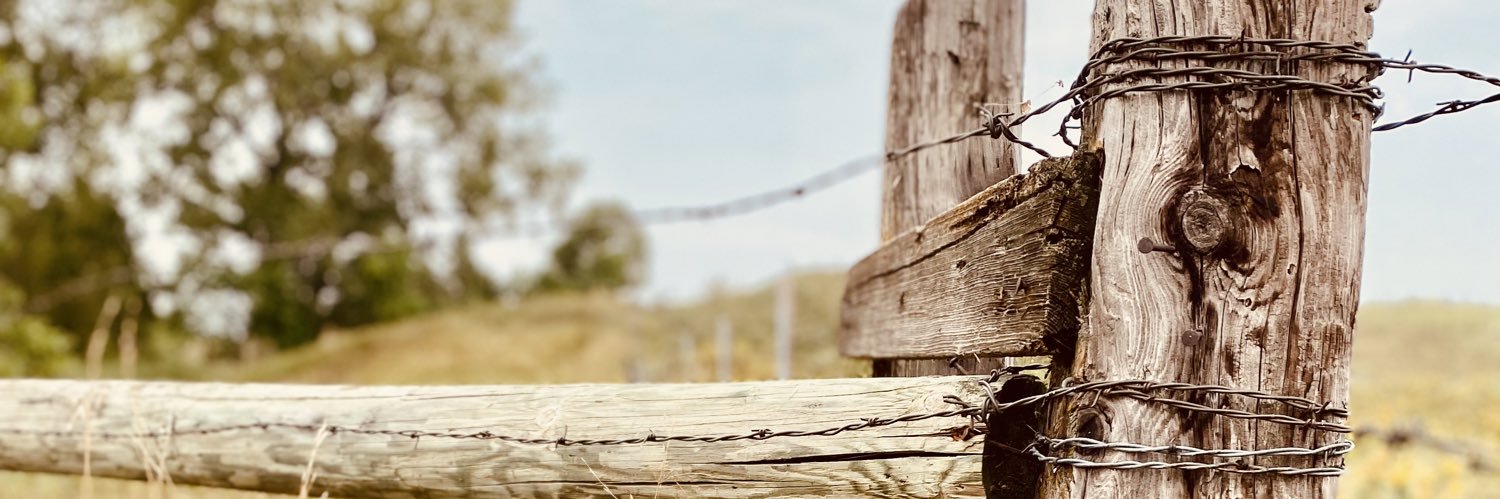 lisayohnson's profile banner image