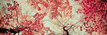 Mariana_ferlim's profile banner image