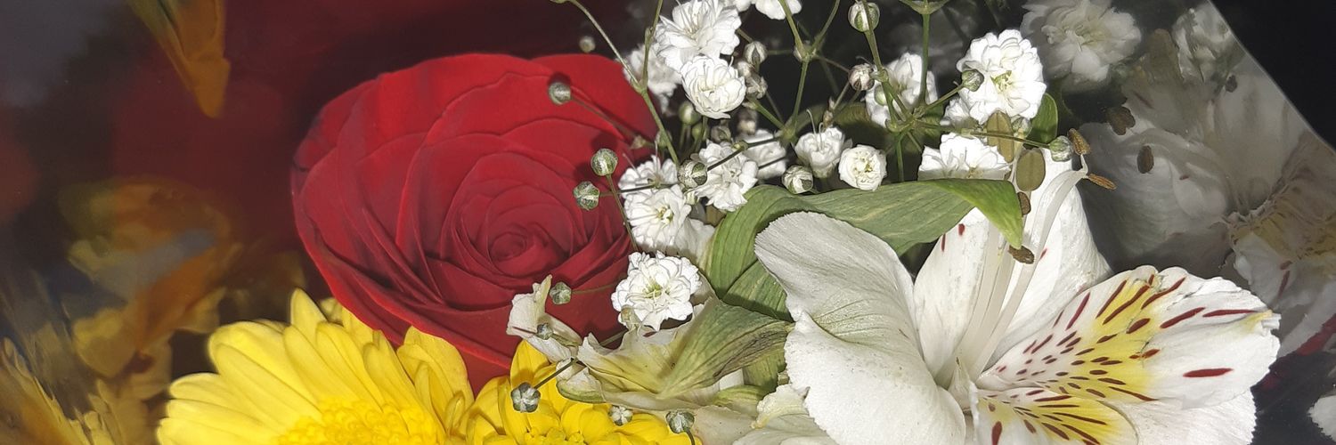 MylifeKassi's profile banner image