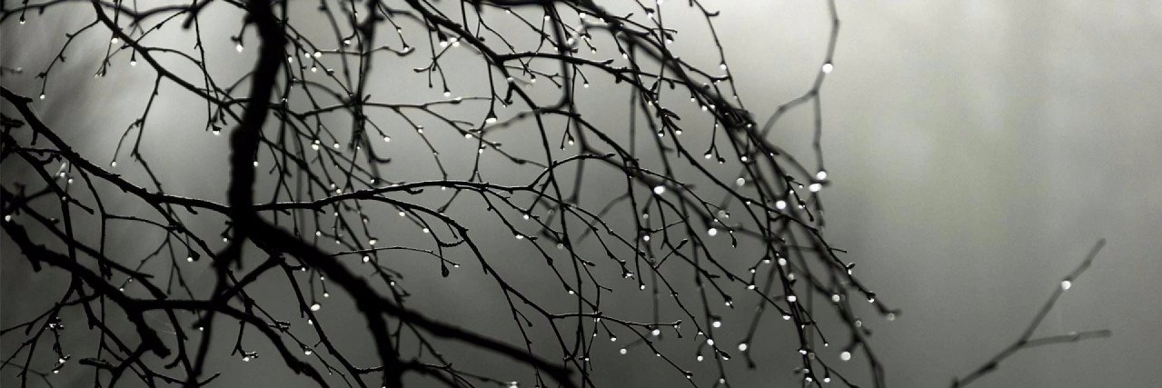Deconstructionist🌼 banner