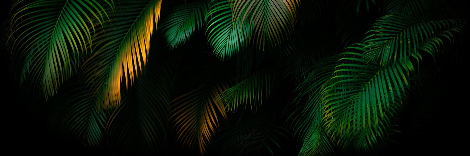 SimPholders banner