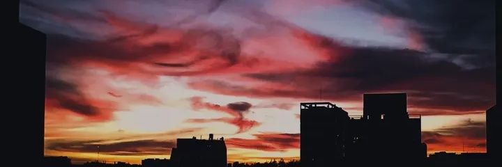 PiaDimasi's profile banner image