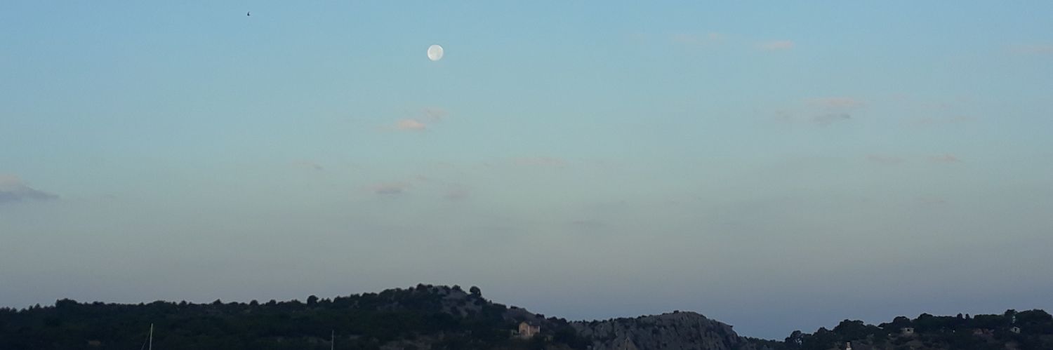 Maria Herrera banner