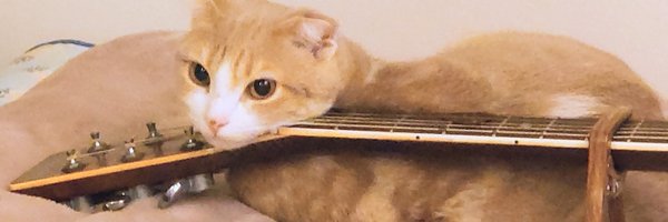 gdl214 Profile Banner