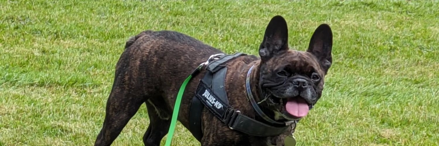 Yorkshire Lass banner