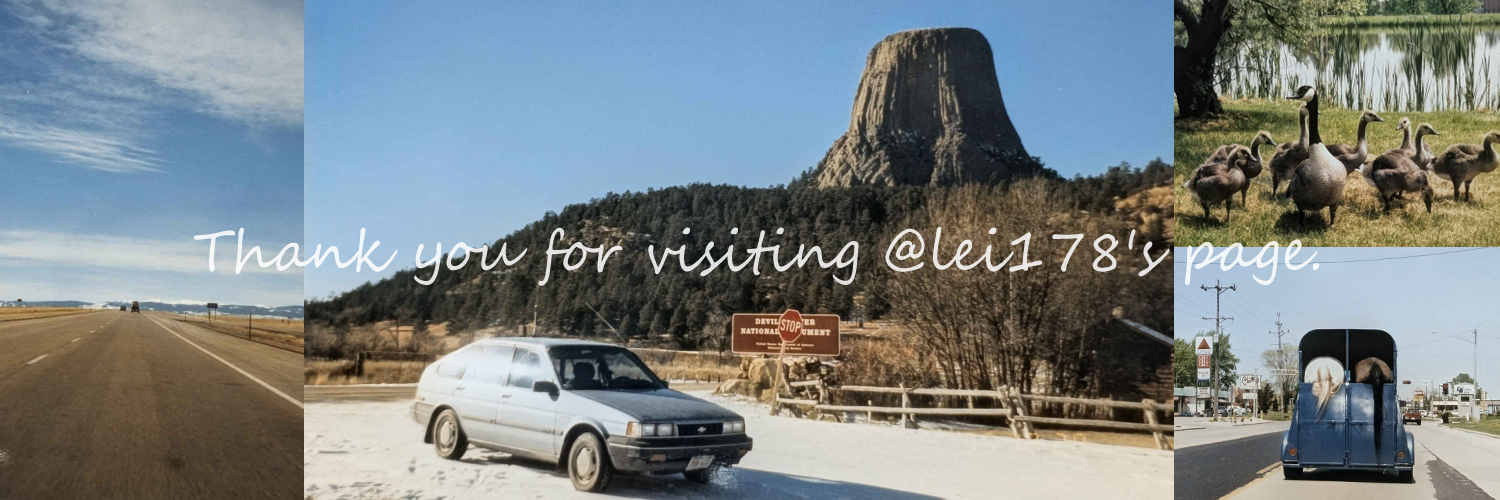 lei178's profile banner image