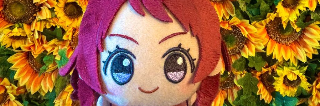 sora banner