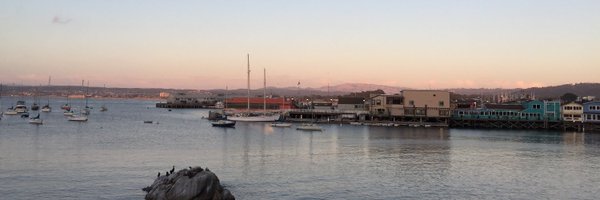 catherine_hurd Profile Banner