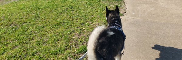 ryno752 Profile Banner