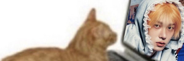 myhrttheo Profile Banner