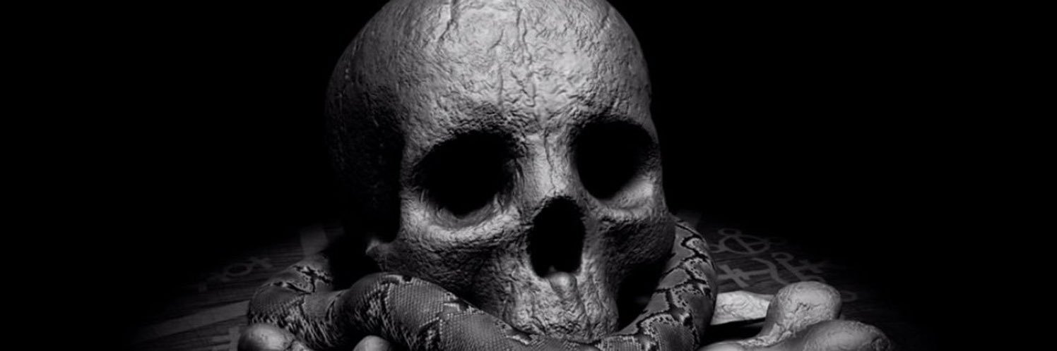 Dustin Rhodes banner