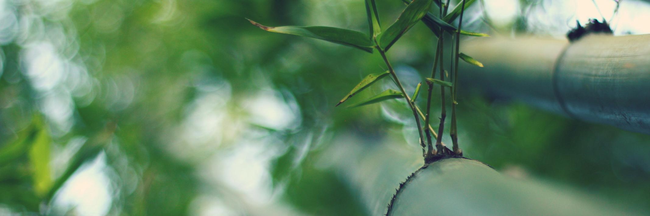 PRIaustralia's profile banner image