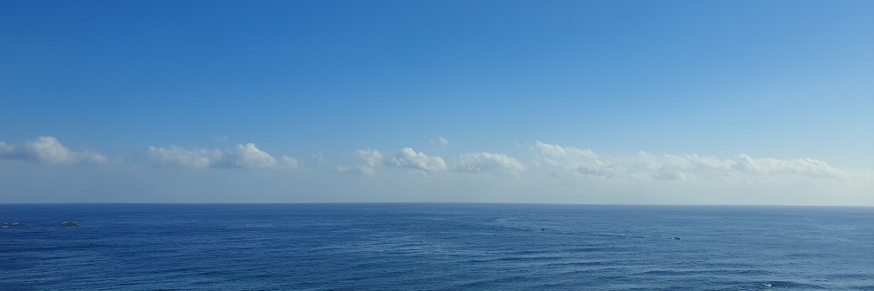 푸른안개 banner