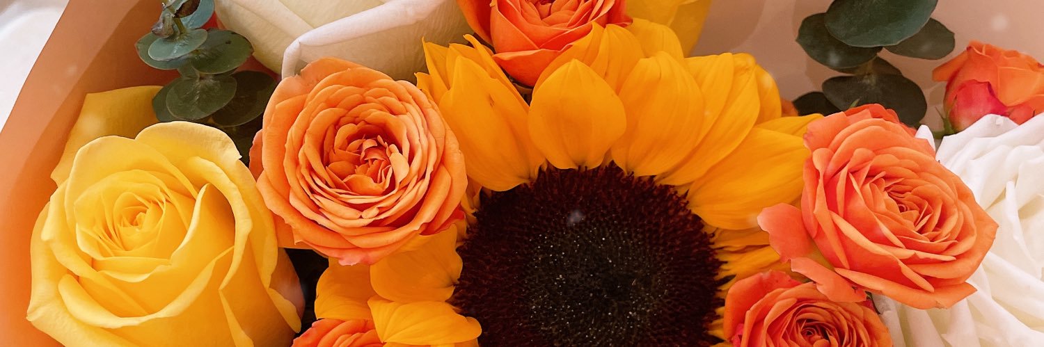 ri_ka911's profile banner image