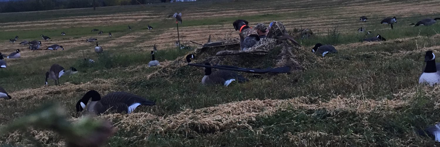 gettinkrunk's profile banner image