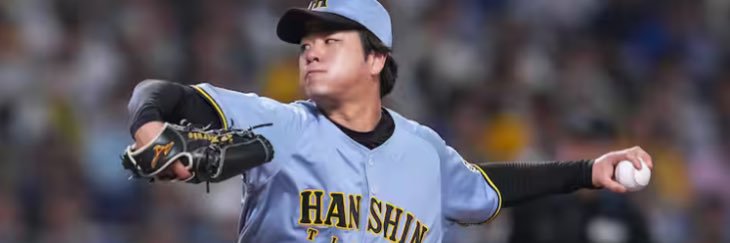 Ʊ〻( ૢ ⦁ .ꔷ ૢ) 🇯🇵⚾️🐯🏟️🎌🐾🍊🌾🍙🎸⚤ banner