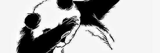 MacedoJhow's profile banner image