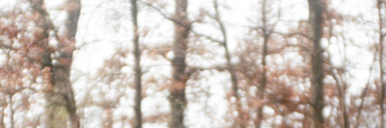 bo_buni's profile banner image