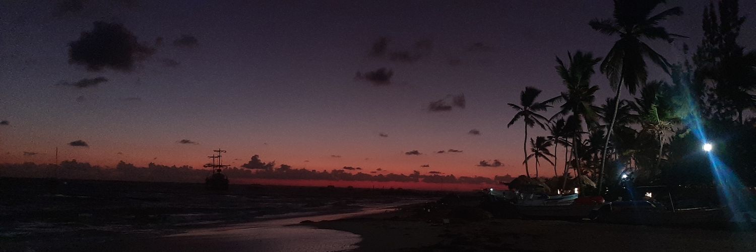 erilogoar's profile banner image
