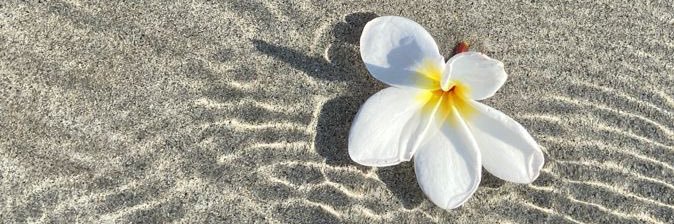 itsmeweeeee's profile banner image