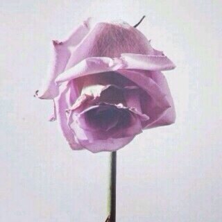 Helmi_AlJanah's profile banner image