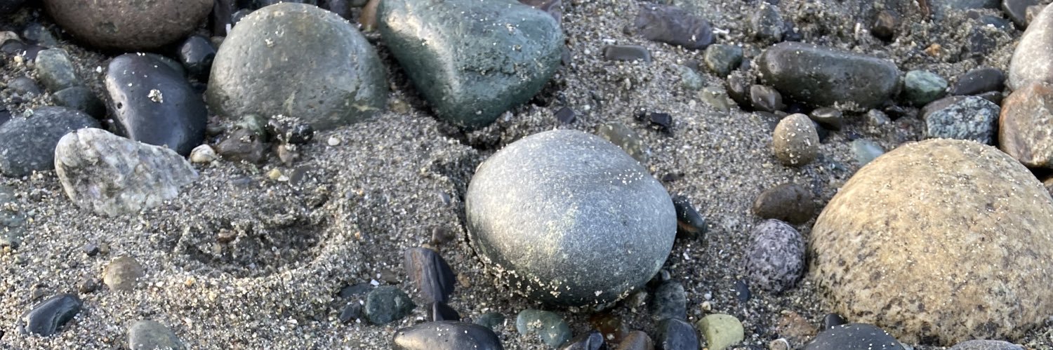 Be the tea you wish to see in the world. banner